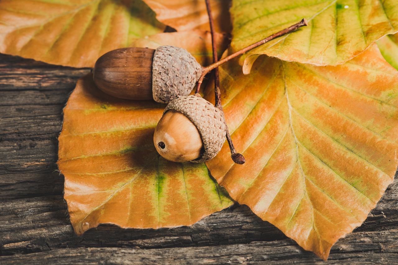 Atelier ‘‘Bonhomme d’automne’’