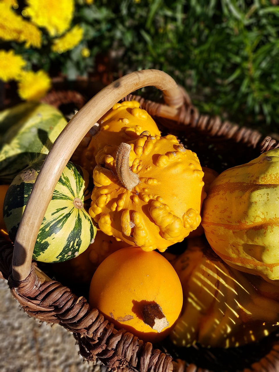 Atelier ‘‘Peinture sur coloquintes’’