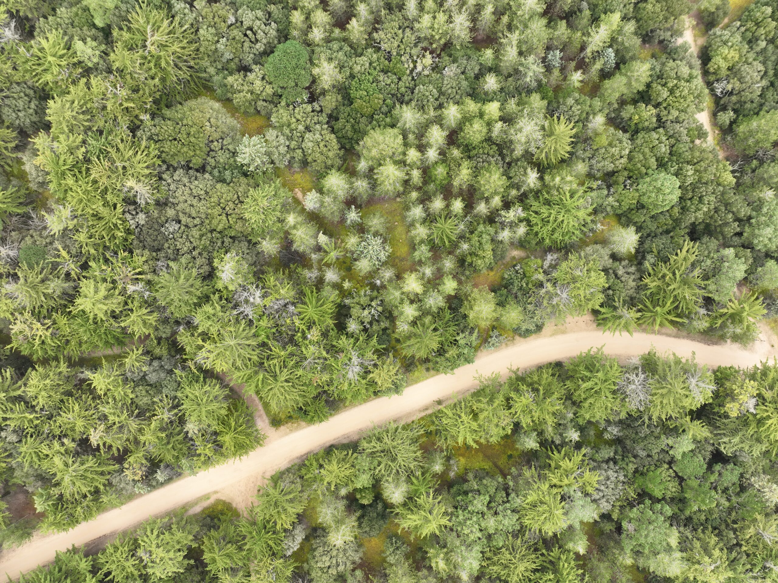 Préserver l'environnement : petits défis pour s'informer et agir !