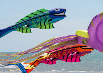 2025-FATV-notredamedemonts_MichelARNAUD-167