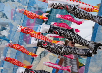 2025-FATV-notredamedemonts_MichelARNAUD-242