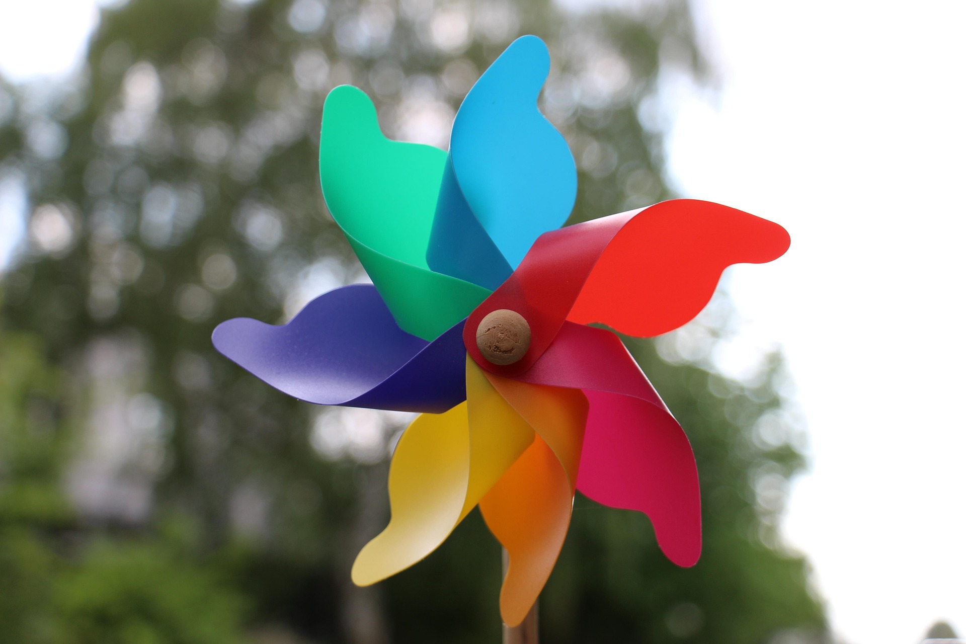 Atelier «Petites fleurs du vent» - Ateliers & loisirs
