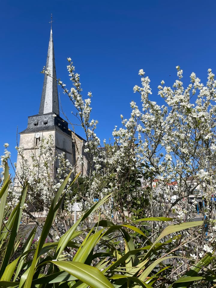Ville de Notre Dame de Monts